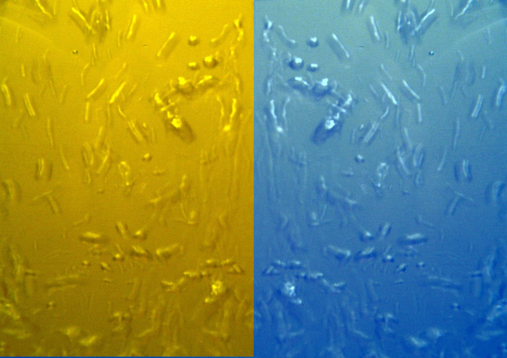CD Cover Design 6