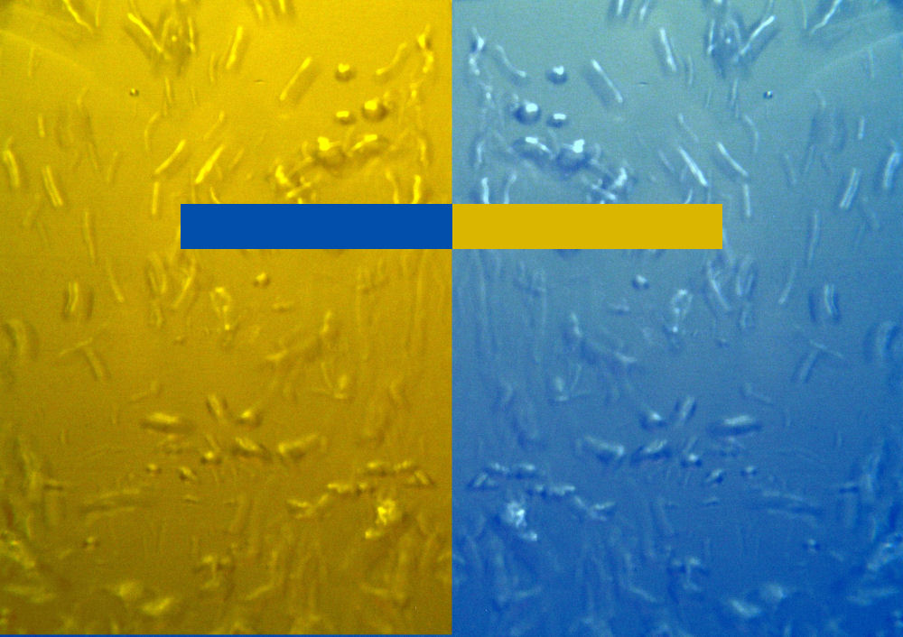 CD Cover Design 7