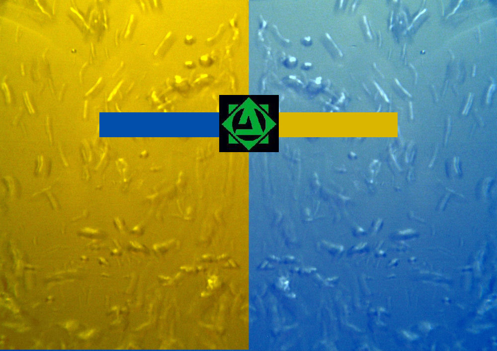 CD Cover Design 8