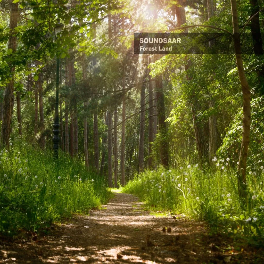Okładka płyty Forest Land